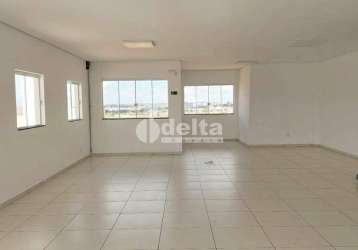 Apartamento para aluguel, 2 quartos, 1 suíte, 1 vaga, minas gerais - uberlândia/mg