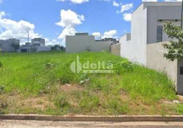 Terreno residencial a venda no bairro grand ville em uberlândia-mg