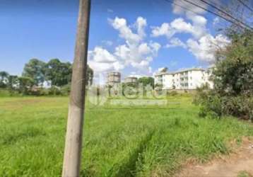 Área residencial disponível para venda no bairro chácarras tubalina e quartel em uberlândia-mg