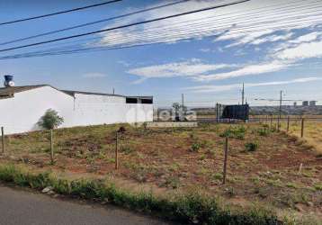 Terreno disponível para locação no bairro alto umuarama em uberlândia-mg