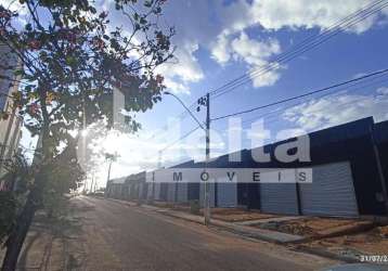 Galpão disponível para venda no bairro shopping park em uberlândia-mg