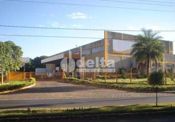 Galpão disponível para venda no bairro distrito industrial em uberlândia-mg