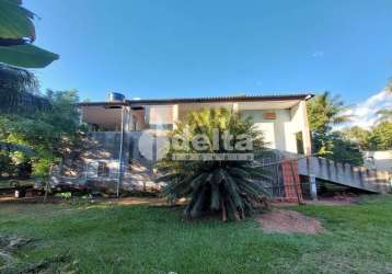 Chácara residencial disponível para venda no bairro área rural em uberlândia-mg