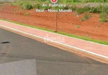 Terreno disponível para venda no bairro novo mundo em uberlândia-mg