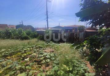 Terreno à venda na rua macaraí, 01, jardim cura d'ars, campinas por r$ 400.000