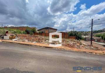 Terreno à venda, 200 m² por r$ 49.500,00 - loteamento sanches dos santos - apucarana/pr