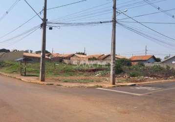 Terreno à venda, 293 m² por r$ 60.000,00 - vila reis - apucarana/pr