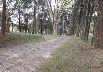 Barracão / galpão / depósito à venda na rua ana do sacramento andrade, 1011, furnas, são paulo, 2800 m2 por r$ 15.000.000