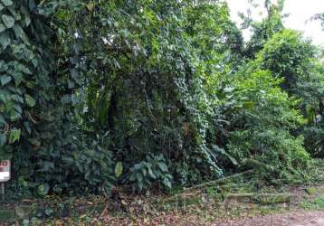 Ubatuba, itamambuca - lote com 518,00 mts2, escritura definitiva, sem liberação ambiental em condomínio segurança 24 hs.