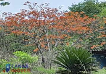 Chácara  à venda! escriturada