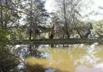 Sitio - fazenda - santo antonio da alegria - lajinha - sp