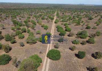 Fazenda à venda, 72600000 m² por r$ 225.000.000,00 - zona rural - porto nacional/to