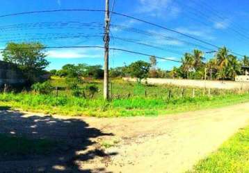 Terreno, 5000 m² - venda ou aluguel - duques - tanguá/rj