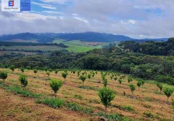 Fazenda para venda em campanha, sem bairro, 3 dormitórios, 2 suítes, 3 banheiros