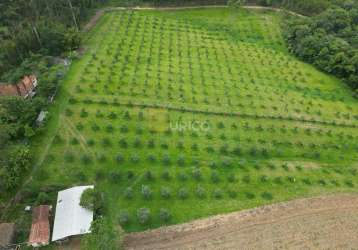 Fazenda à venda no área rural de poços de caldas em poços de caldas/mg