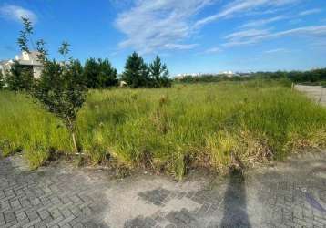 Terreno para venda em florianópolis, ribeirão da ilha