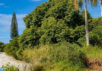 Terreno para venda em florianópolis, lagoa da conceição