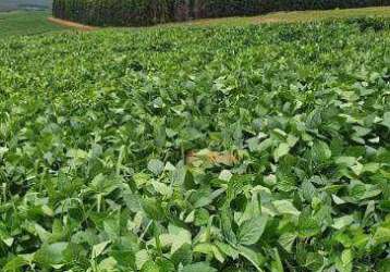 Fazenda à venda, 68 alqueires  por r$ 17.000.000 região de bauru/sp