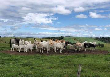 Fazenda à venda, 87 alqueires por r$ 22.000.000 - alambari/sp