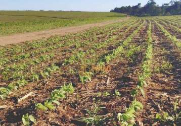 Fazenda à venda, 3484800 m² por r$ 37.000.000 - zona rural - itapetininga/sp