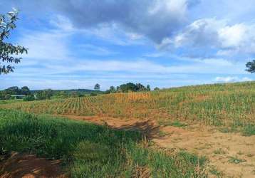 Sítio à venda, 11,7 alqueires por r$ 3.000.000 - zona rural - tatuí/sp