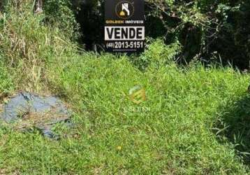 Terreno à venda, 325 m² por r$ 480.000 - mariscal - bombinhas/sc