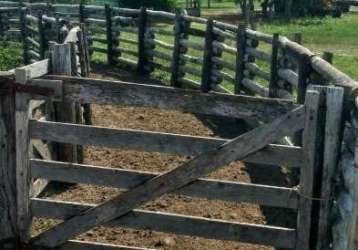 Fazenda com 15 salas à venda na rua general rondon, 638, centro, corumbá por r$ 60.000.000