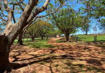 Chácara / sítio com 9 quartos para alugar na estrada municipal de sobradinho, zona rural, boa esperança do sul, 650 m2 por r$ 8.000