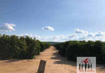 Fazenda à venda no bairro centro - pará de minas/mg