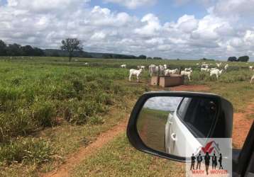 Fazenda à venda no bairro setor central - araguaína/to