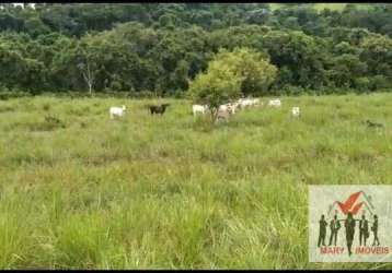 Fazenda à venda em campos dos goytacazes/rj