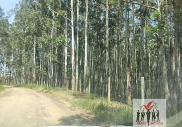 Fazenda à venda no bairro centro - lavrinhas/sp