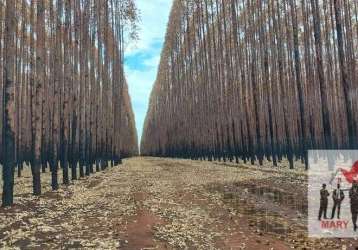 Fazenda à venda em várzea da palma/mg