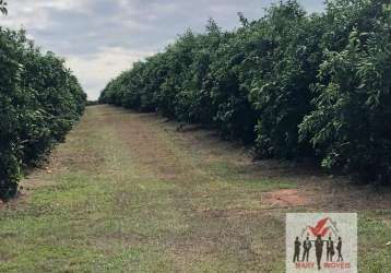 Fazenda à venda no bairro centro - marília/sp