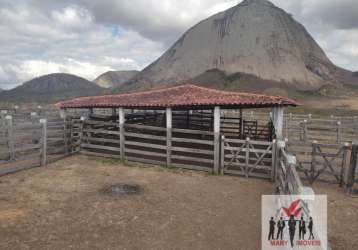 Fazenda à venda em pedra azul/mg