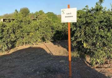 Fazenda à venda em januária/mg