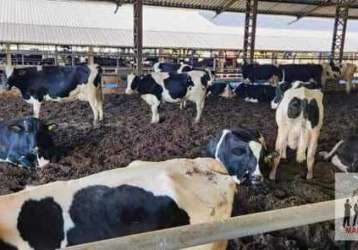 Fazenda à venda em heliodora/mg