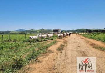 Fazenda à venda em pouso alegre/mg