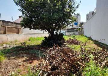 Terreno em rua - jardim higienopolis