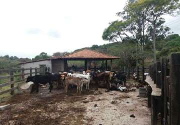 Fazenda à venda na izaltino de aguiar, área rural de pará de minas, pará de minas por r$ 1.500.000