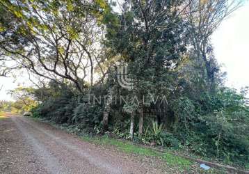 Lote no mata verde com 1542 m2 - com acesso pela av. das cataratas e perimetral leste