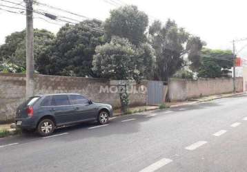 Área comercial para locação no bairro umuarama