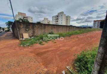 Àrea comercial para locação no bairro custódio pereira