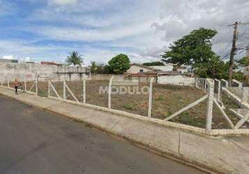 Àrea comercial para alugar no bairro umuarama