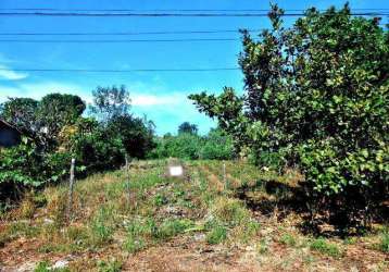 Terreno à venda, dona zulmira - uberlândia/mg