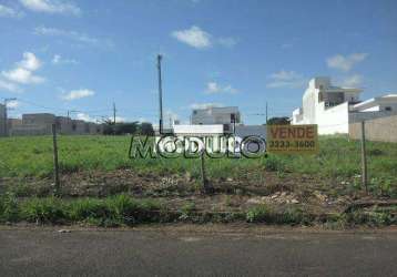 Terreno à venda, vigilato pereira - uberlândia/mg