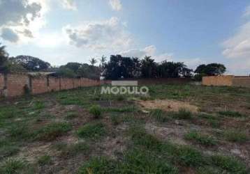 Terreno comercial para locação bairro morada nova