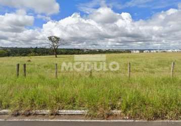 Lote à venda, jardim sul - uberlândia/mg