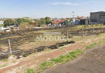 Terreno à venda, osvaldo rezende - uberlândia/mg