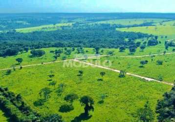 Chácara à venda, 1 quarto, chacaras eldorado - uberlândia/mg